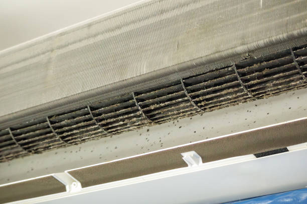 Best Affordable Air Duct Cleaning  in Winfield, IA